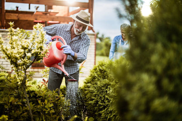 istock Smiling senior man gardening in the backyard. 1393574385