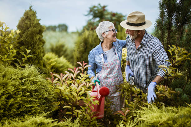 счастливая зрелая пара садоводства их дворе в весенний день. - gardening couple senior adult ethnic стоковые фото и изображения