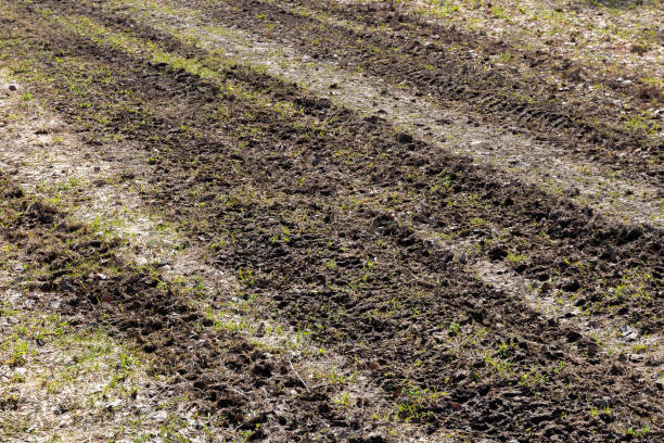 istock tractor tracks on the field 1393576932