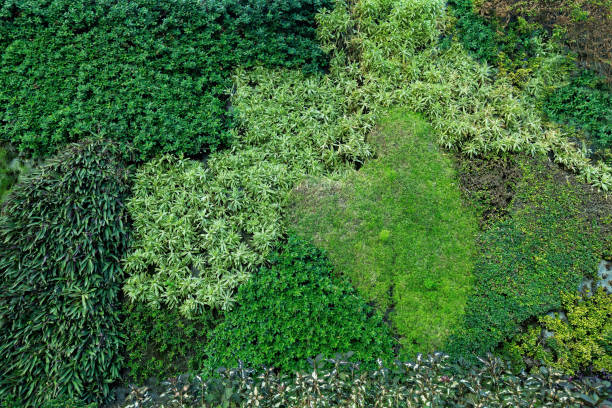 istock Live green wall and vertical gardening background 1393578929