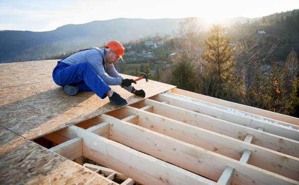 Carpenter hammering nail into OSB panel while building wooden frame house. stock photo