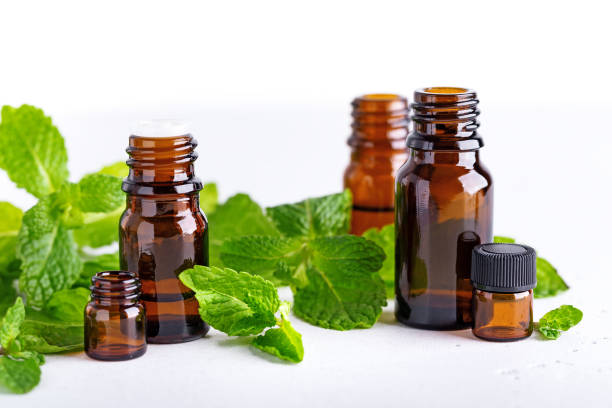 istock Amber bottles with fresh mint leaves 1393580720