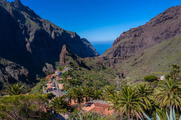 la hermosa masca el municipio de montaña en el norte de tenerife, islas canarias - tenerife spain national park canary islands fotografías e imágenes de stock