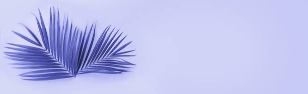 istock Palm leaf on color pink background 1393581048