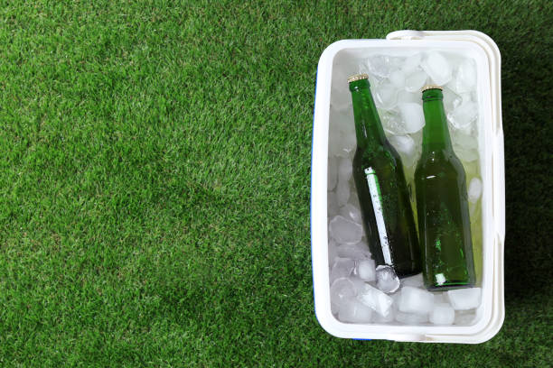 frigo scatola di plastica con bottiglie di birra e cubetti di ghiaccio sull'erba verde all'aperto, vista dall'alto. spazio per il testo - beer bottle beer cold alcohol foto e immagini stock