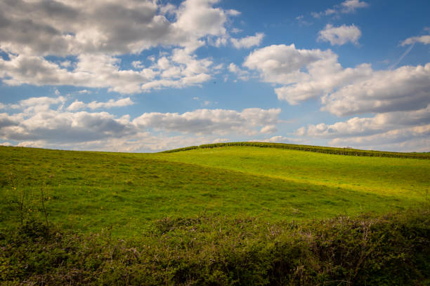 istock Windows inspired countryside landscape 1393582472