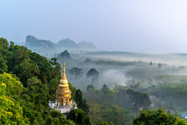 Aerial view of golden stupa or pagoda at Khao Na Nai Luang Dharma Park in Surat Thani Thailand Aerial view of golden stupa or pagoda at Khao Na Nai Luang Dharma Park in Surat Thani Thailand on an early morning koh tao stock pictures, royalty-free photos & images