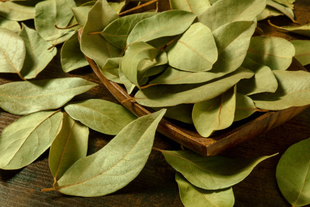 Bay leaves in a wooden bowl on a rustic background stock photo