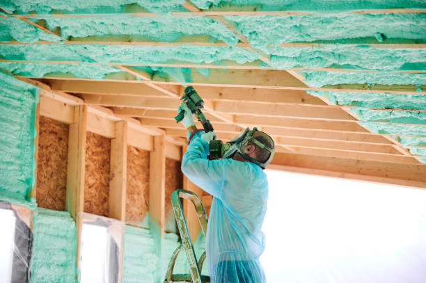 Worker spraying polyurethane foam for insulating wooden frame house. Male builder insulating wooden frame house. Man worker spraying polyurethane foam inside of future cottage, using plural component gun. Construction and insulation concept. spray insulation stock pictures, royalty-free photos & images