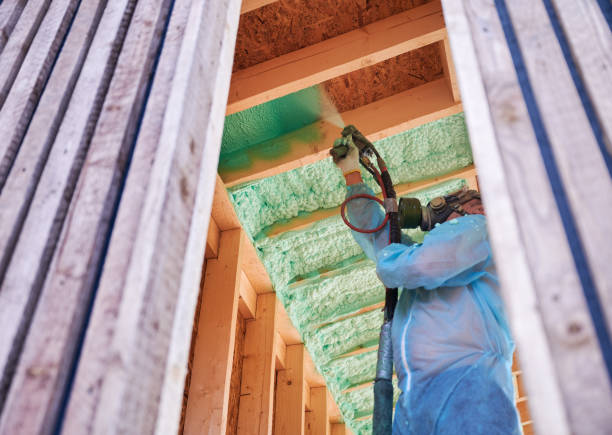 istock Worker spraying polyurethane foam for insulating wooden frame house. 1393586297