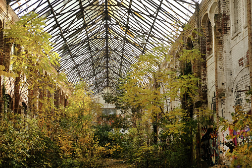 This small biosphere is part of a lost place located in Leipzig, Germany.