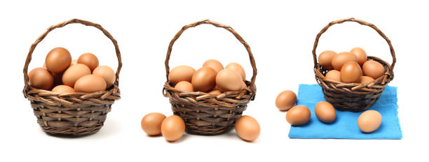 brązowe jaja - animal egg eggs basket yellow zdjęcia i obrazy z banku zdjęć