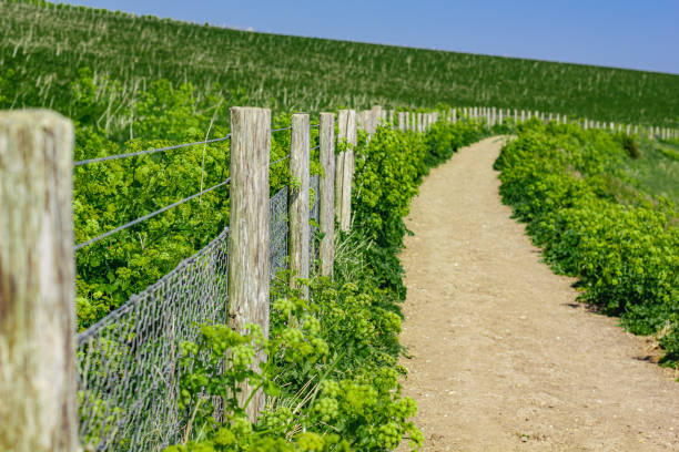 caminho de terra com cerca - 2 - road long dirt footpath - fotografias e filmes do acervo