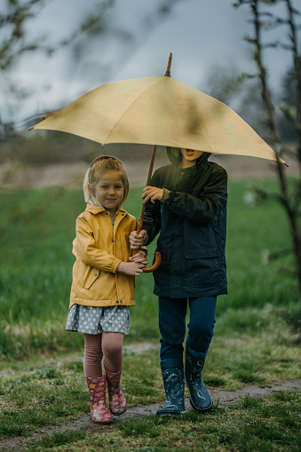 Two kids, brother and his little sister walking on a meadow and holding umbrella on a rainy day outdoors.