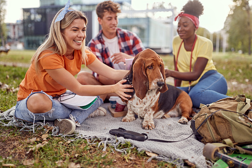 Group of friends having picnic together with a dog