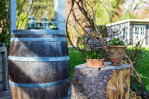 wooden barrel and tree stump with flower pots in garden
