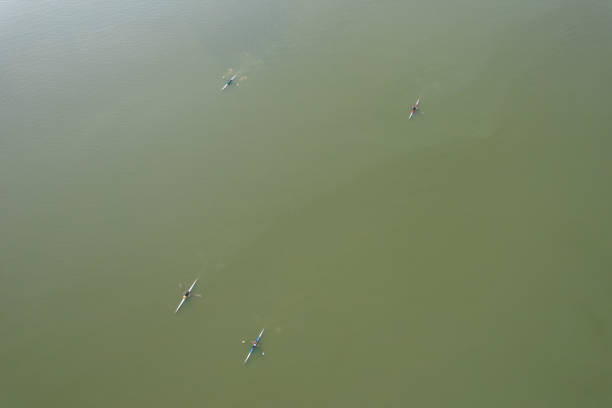 istock Aerial view of rowing at river 1393591674