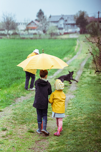 Two kids and grandfather, brother and his little sister walking on a meadow and holding umbrella on a rainy day outdoors.