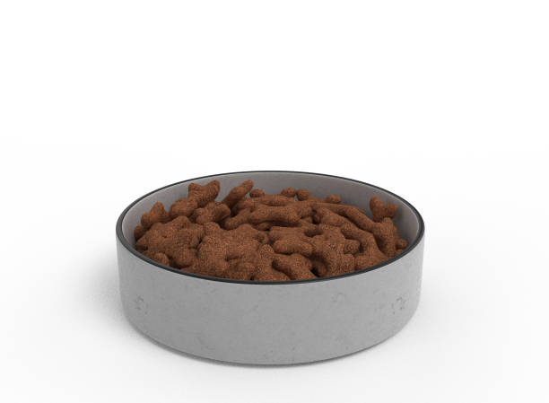 istock Pet Bowl with Feed Mockup 1393592940