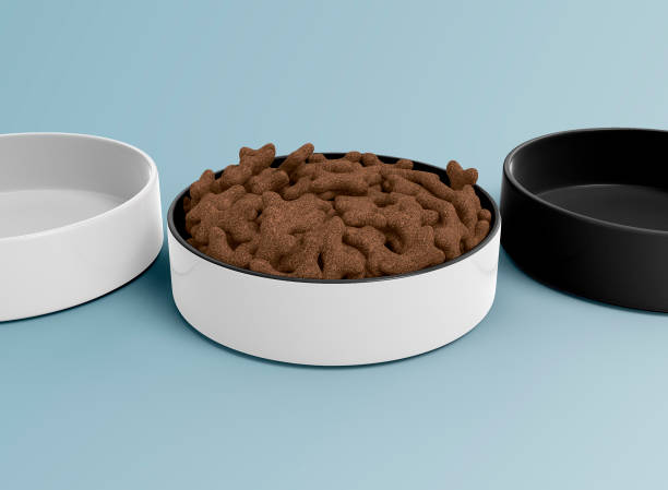 istock White and Black Pet Bowls Set 1393592966