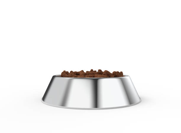 istock Stainless Steel Pet Bowl 1393592972