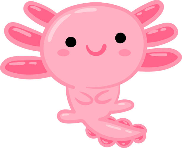 illustrazioni stock, clip art, cartoni animati e icone di tendenza di icona axolotl. illustrazione vettoriale disegnata a mano. - young animal sea life amphibians animals and pets