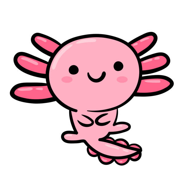 ilustrações, clipart, desenhos animados e ícones de ícone axolotl. ilustração vetorial desenhada à mão. - young animal sea life amphibians animals and pets