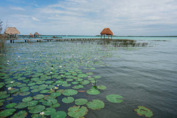istock Bacalar Lagoon in Mexico 1393595495