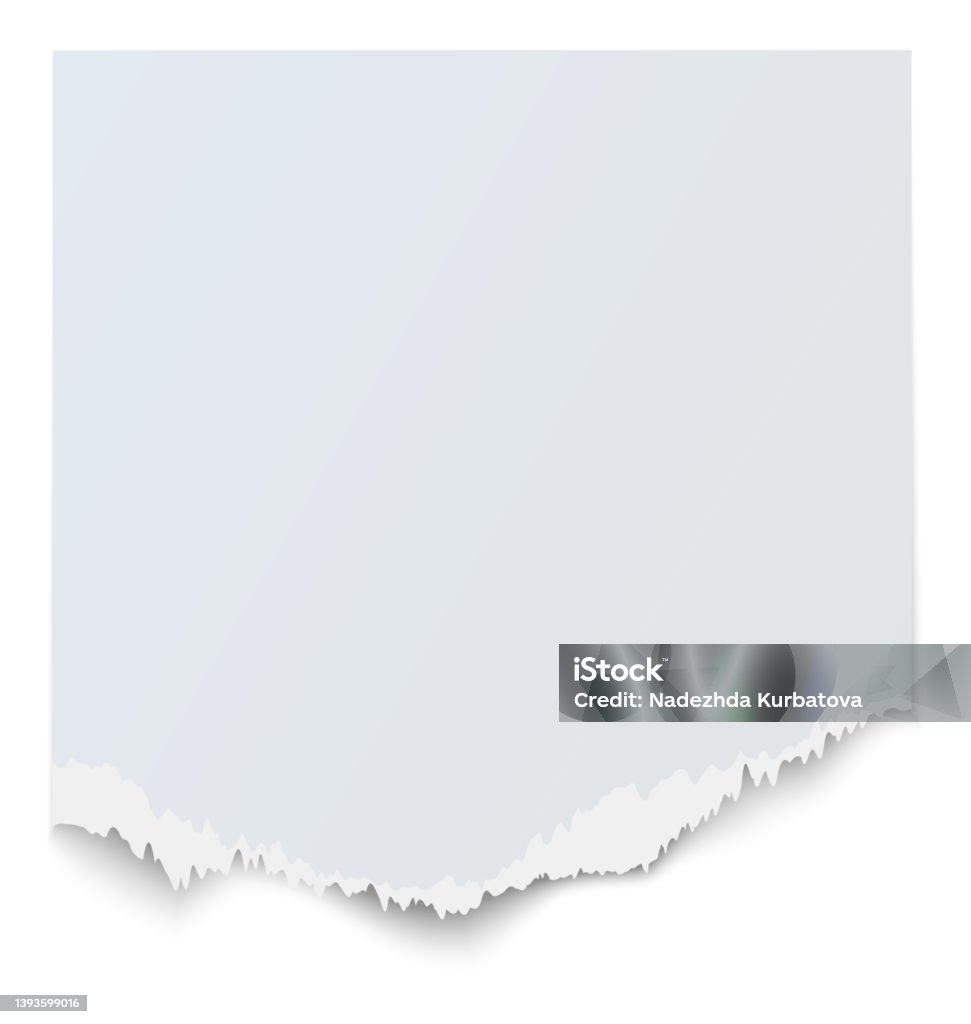W Ripped Paper White Ripped Paper Strips Vector Set Stock Illustration - Download ...