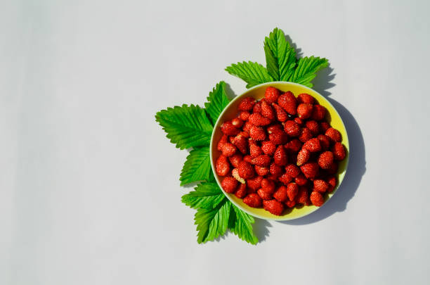 Wild strawberry berries on saucer on gray background with copy space. Summer background. Concept of summer menu for cafes, medicinal plants and natural vitamins.