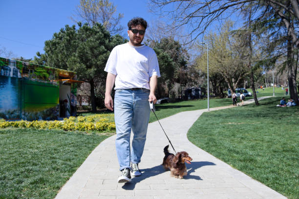 istock young man walking with sausage dog 1393613641