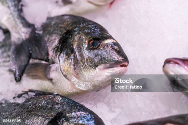 Raw Chilled Fresh Fish In The Refrigerator At The Supermarket Healthy Food Concept Food Background Stock Photo - Download Image Now