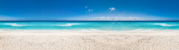 istock Caribbean sea coastline. Long banner 1393614554