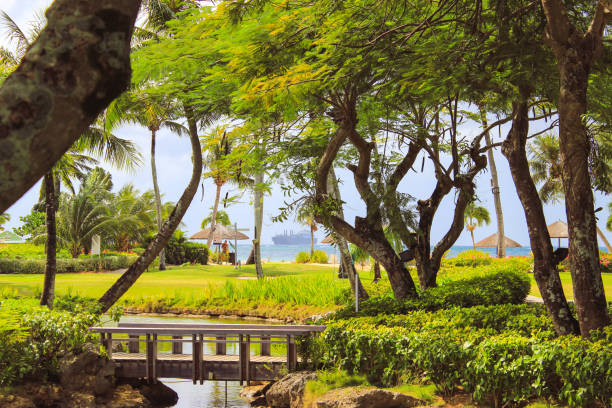 Green garden Green garden on saipan island with river guam stock pictures, royalty-free photos & images