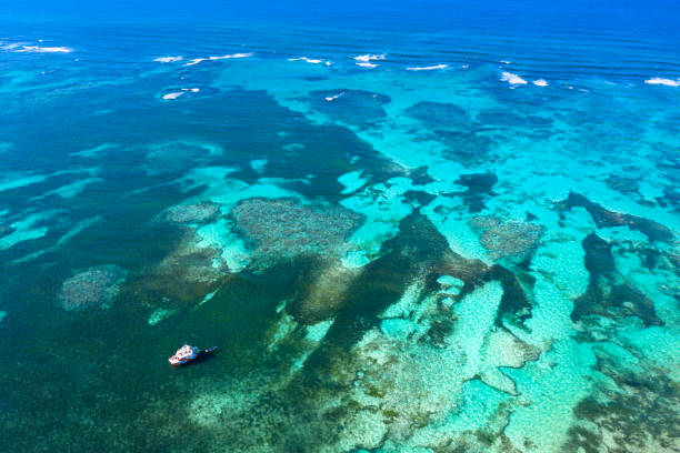 istock Aerial view from drone on Atlantic ocean with reef and waves, caribbean destinations 1393616036