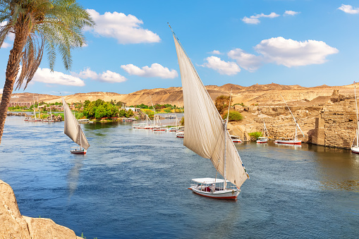 Sailboats of the Nile, famous view of Aswan city, Egypt.