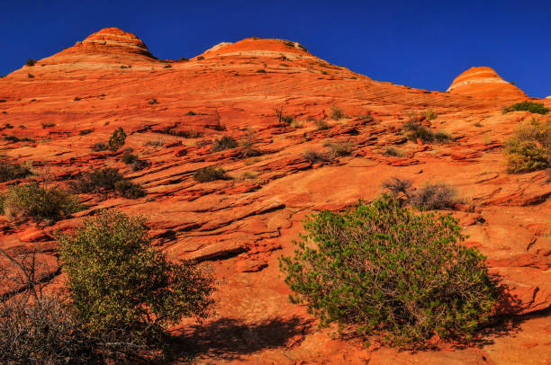 istock Sandstone formations on the route to The Wave 1393620114