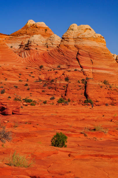 istock Sandstone buttes in Coyote Buttes 1393620178