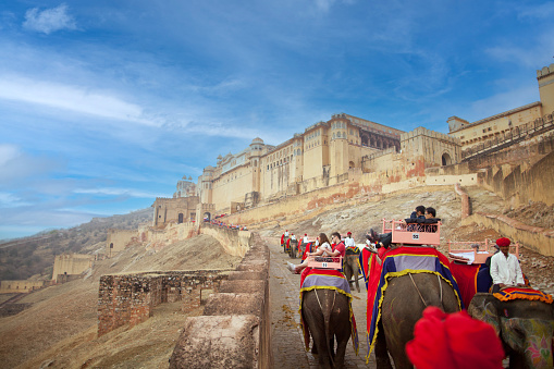 February 17, 2013 - Jaipur, India -  Many visitors opt to ride elephants to the top of the Amber Fort.