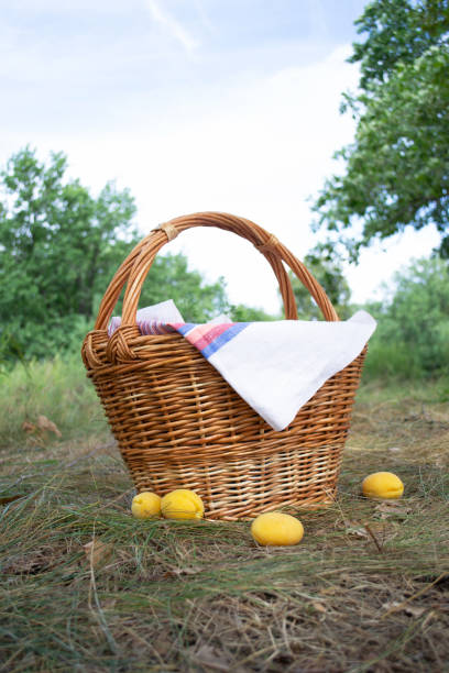 istock Picnic Basket On The Summer Lawn, Top View, Close Up 1393622461