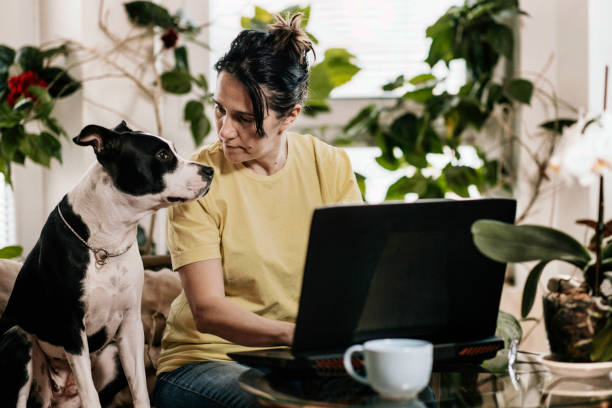 istock New life at home 1393623023