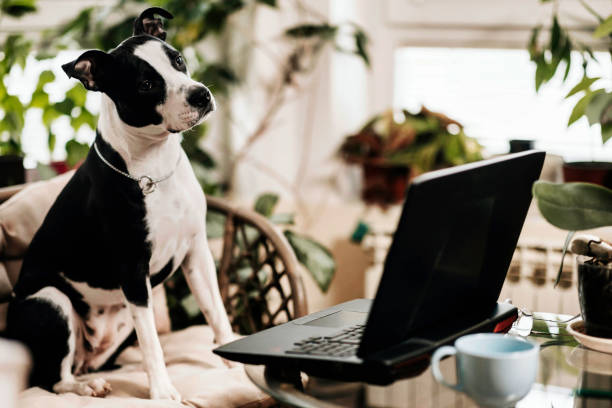 istock New life at home 1393623025