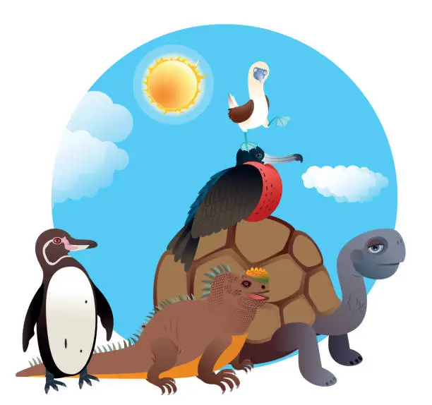 Vector illustration of Galapagos Animals