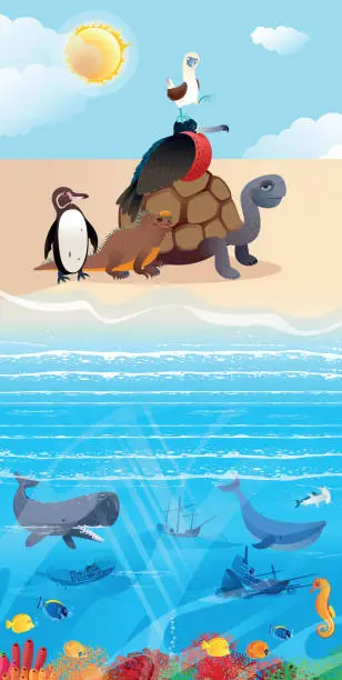 Vector illustration of Galapagos Animals and Beach