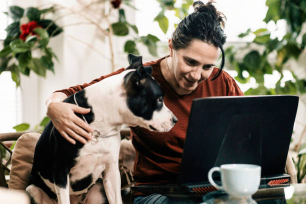 istock New life at home 1393623931