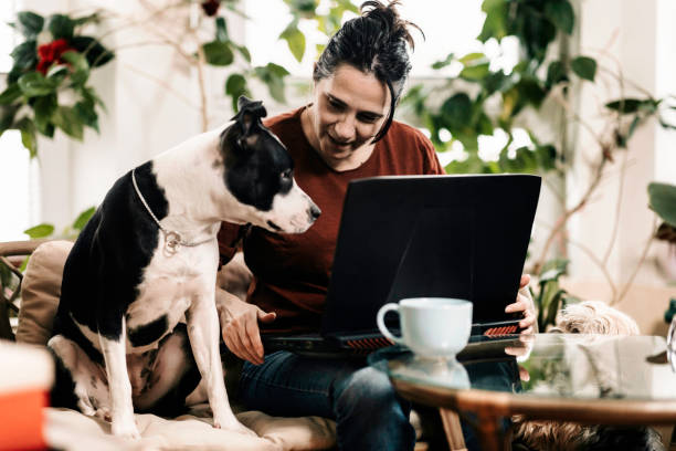 istock New life at home 1393623939