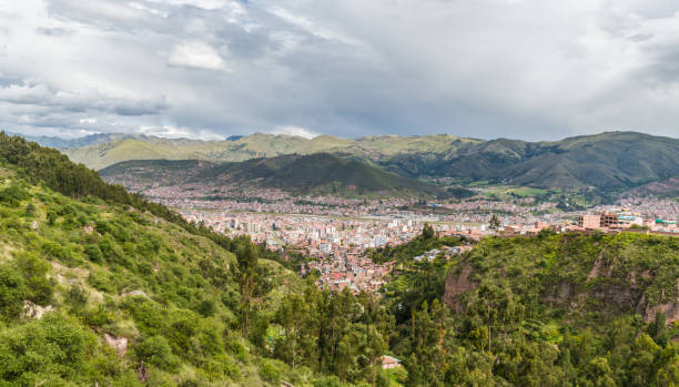 istock nearby forest with city in the background 1393624217
