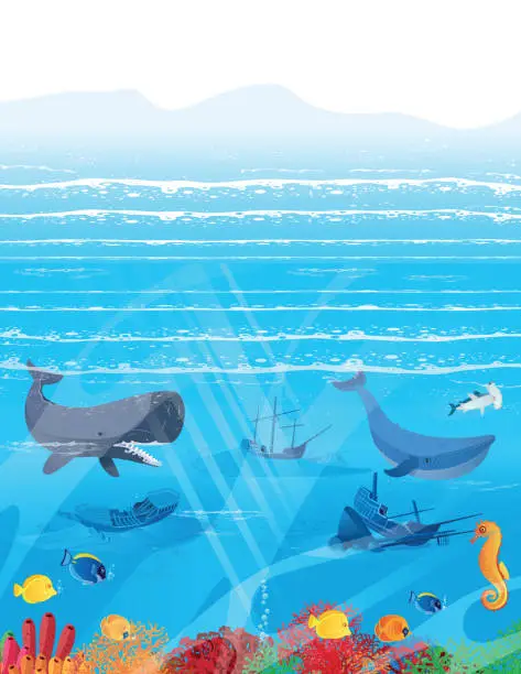 Vector illustration of Undersea and sea creatures