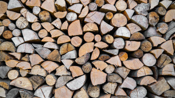 istock Wood logs in a pile. 1393624373