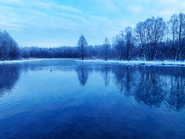 istock Winter landscape with small lake 1393625120